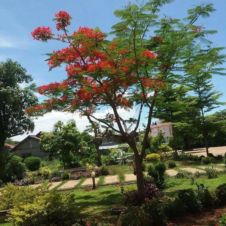 Xuanmai Garden Resort Pakxe Eksteriør billede