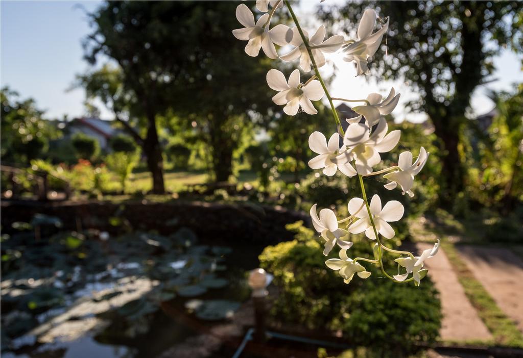 Xuanmai Garden Resort Pakxe Eksteriør billede